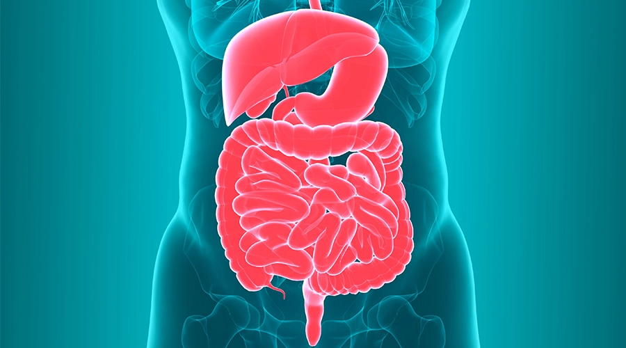 How to improve gut health naturally