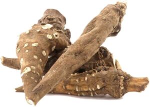 Ativisha Benefits, Uses home remedies