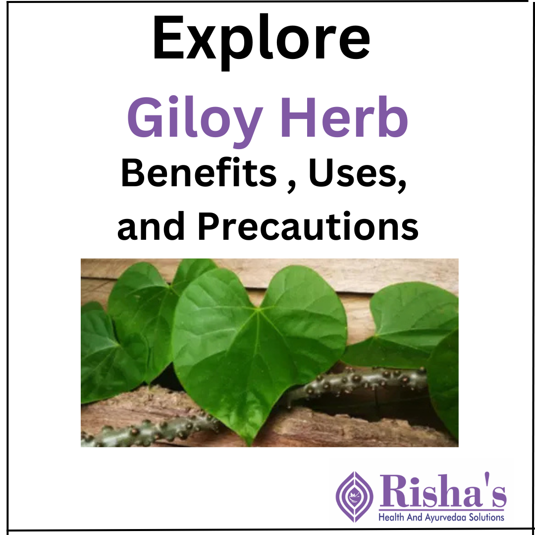 Giloy Benefits uses home remedies