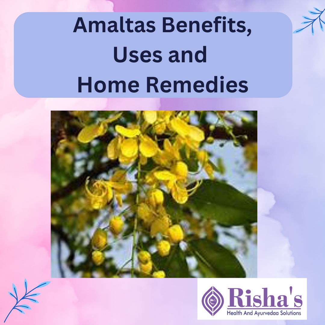 amaltas benefits