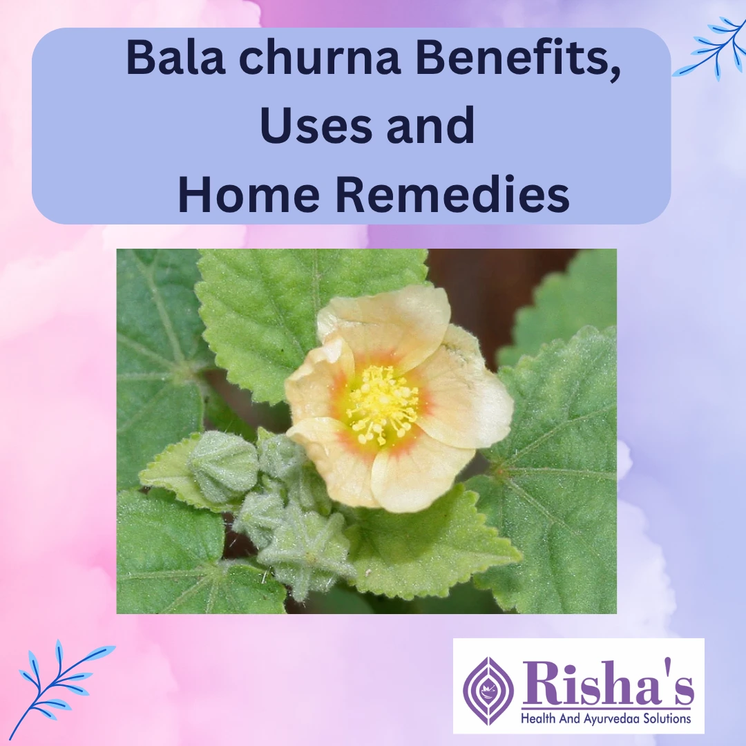 benefits of bala churna