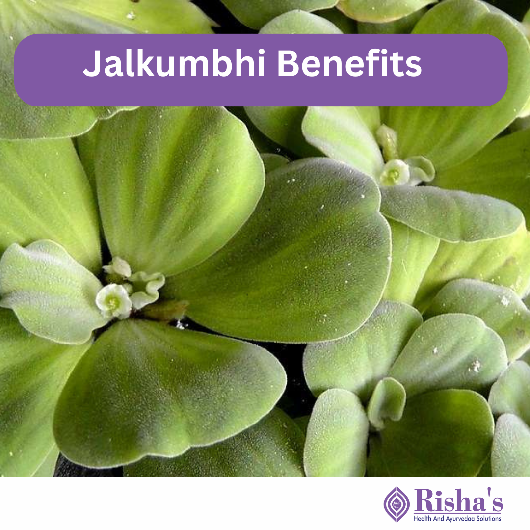 jalkumbhi benefits