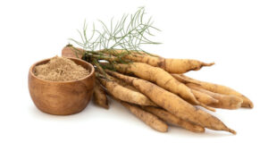 Shatavaryadi churna – Benefits, Ingredients And Dosage,