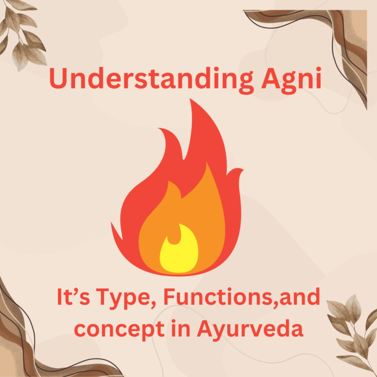 types of agni