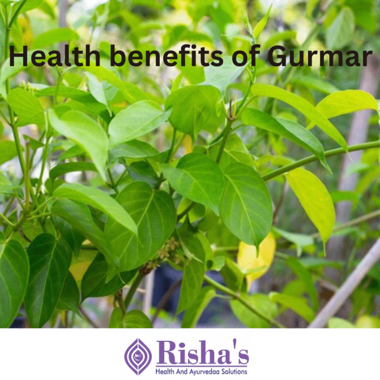 gurmar benefits