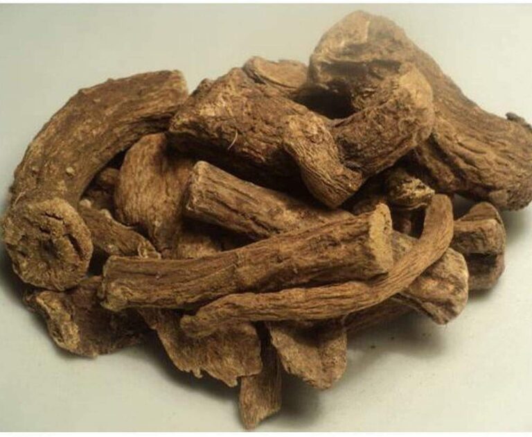 costus root benefits